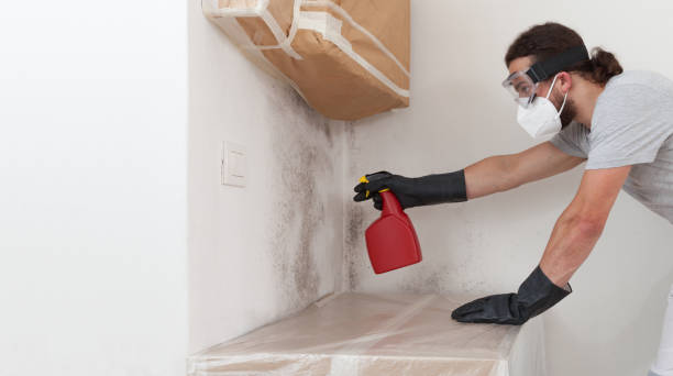 Professional Mold Remediation technician working in Springs, NY
