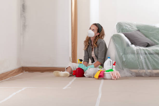 Reliable Mold Remediation contractor in Springs, NY by WQB Mold Removal